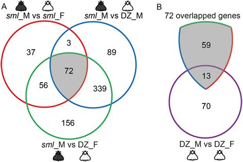 dz.venn|venn inloggen.